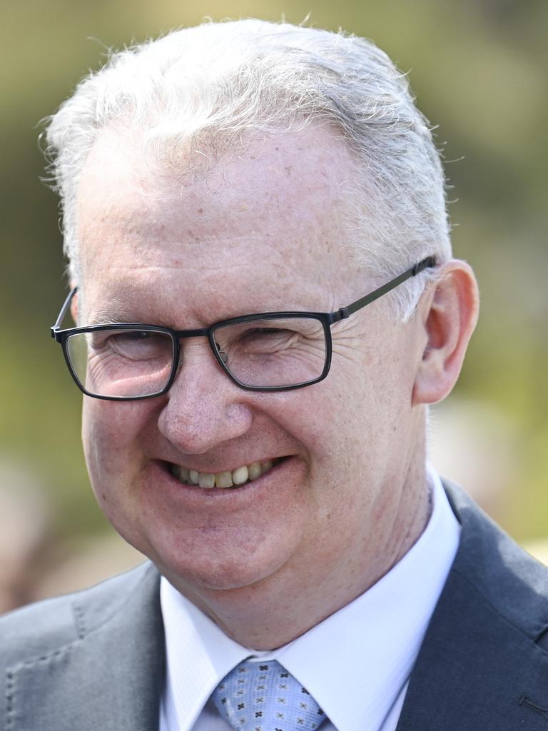 Manager of Government Business Tony Burke. Picture: Martin Ollman