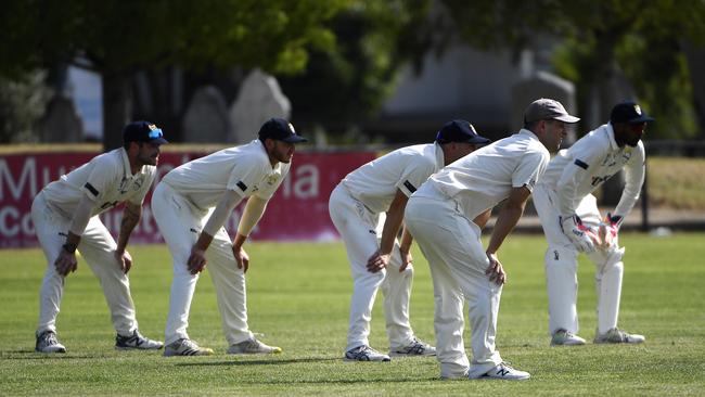 Oakleigh fielders await a nick on Saturday. Picture: Andrew Batsch