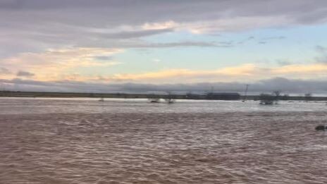 Almost 200mm fell in less than three hours at Audreystone, near Barcaldine. Picture: Who Got the Rain?