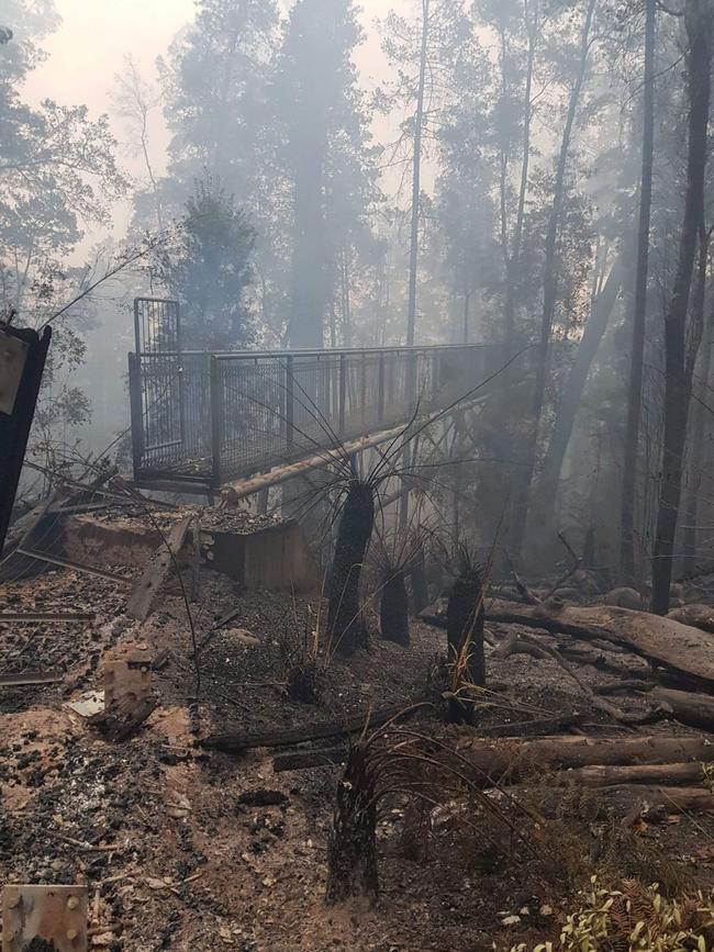 A startling picture of damage to the Tahune AirWalk released today by the Tasmania Fire Service. PICTURE: TFS