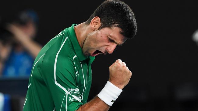 Novak Djokovic took down Roger Federer in the otehr semifinal.