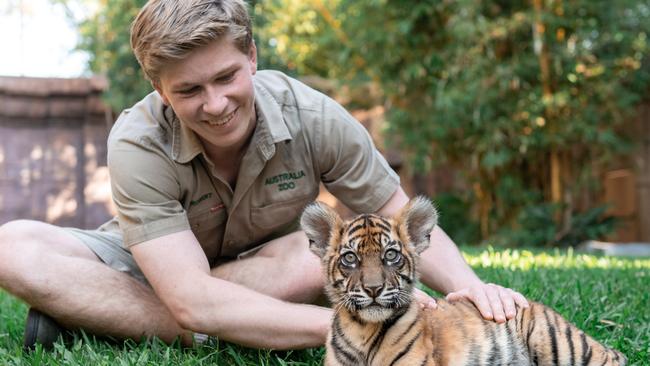 Robert Irwin with a Sumatran Tiger cub at Australia Zoo. Picture: supplied