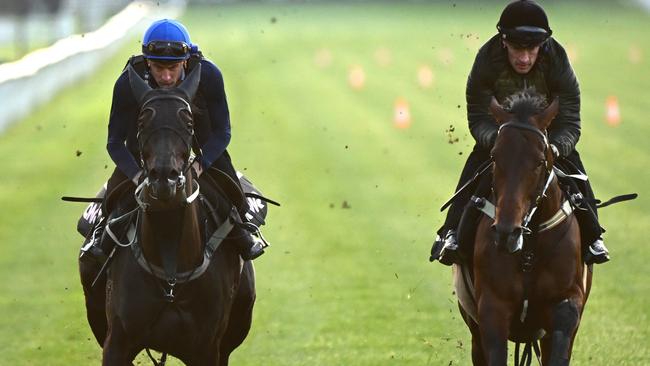 Blake Shinn riding Princess Grace (left) and Mark Zahra aboard Osipenko in a gallop at Flemington this week. Picture: Vince Caligiuri-Getty Images