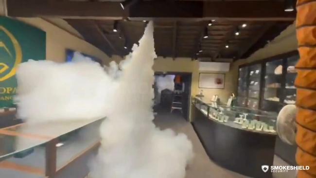Intriguing security measure for businesses against thieves showcased
