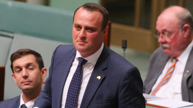 Tim Wilson Proposes To Partner Ryan Bolger In Parliament Au — Australias Leading 