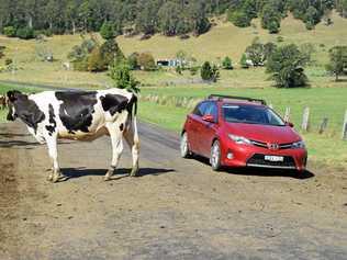 LETTER: One of the sad things I see as I travel around is the lack of decent vegetation management, trees blocking view of street signs and speed signs particularly on the rural areas. Picture: Susanna Freymark