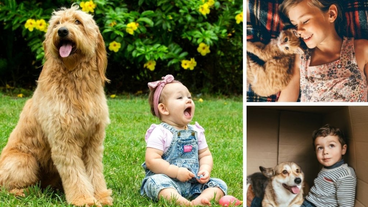 Pet advice: what your pet is really teaching your kids | Herald Sun