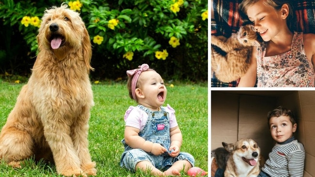 What your pet is really teaching your kids