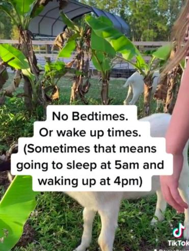 The mum said her daughter is able to choose her own bedtimes. Picture: TikTok