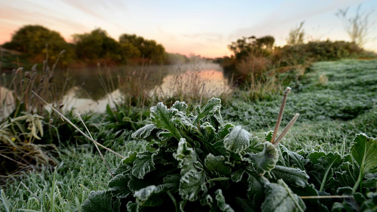 Cold conditions at the Munno Para wetlands on Monday morning. Picture: Photo Sam Wundke