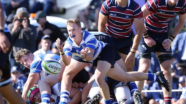 Nudgee College scrumhalf Finn Hearn. Photo by Richard Gosling