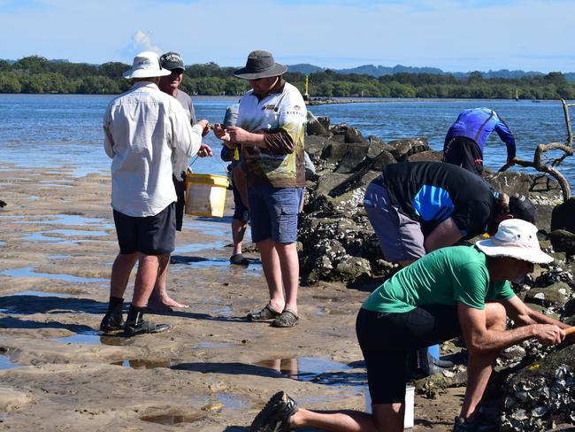 Swamp holds the key to Richmond River’s ‘blackwater’ problems