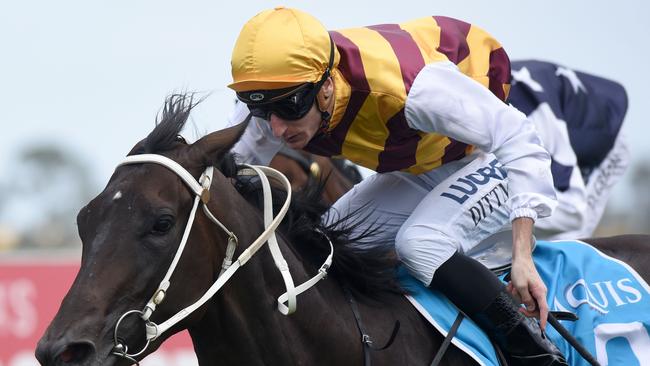 Winner of race 3 Lacey Lynx Pack ridden by Luke Dittman at the Gold Coast Turf Club. Picture: Steve Holland