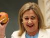 Qld energy plan has constellation of asterisks