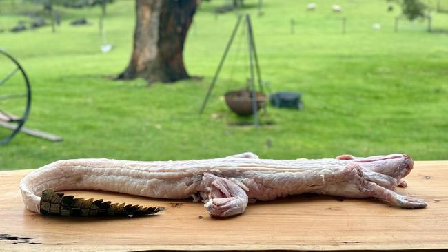 Saltwater crocodiles, known to be eaten fried or grilled in the Northern Territory, have caught the attention of Victoria-based butchery Kelly’s Meats ahead of the 2024 AFL grand final. Picture: Kelly's Meats