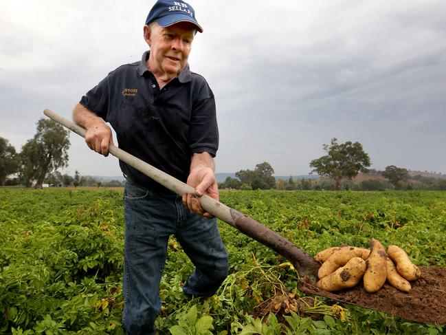 10/03/2016 Potato grower Geoff Dobson on his property at Acheron in Victoria's Yarra Valley.David Geraghty / The Australian