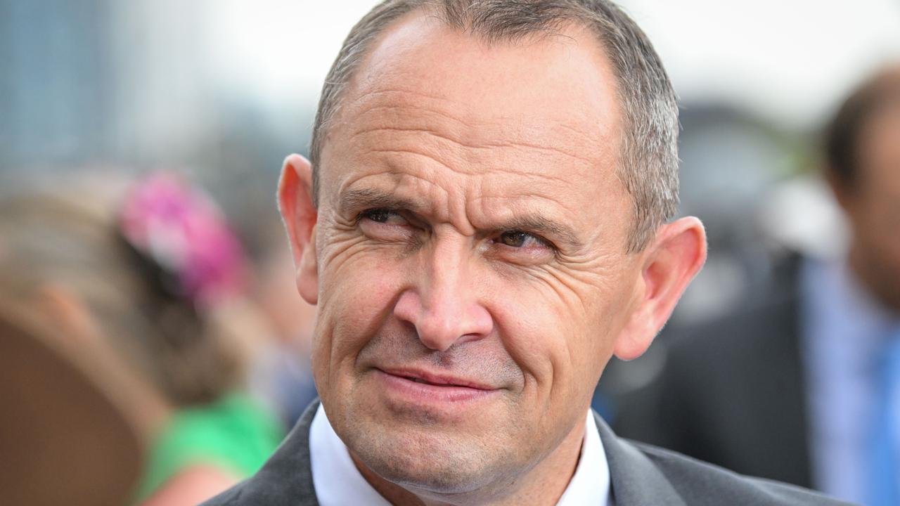 Waller to take wraps off star imported mares