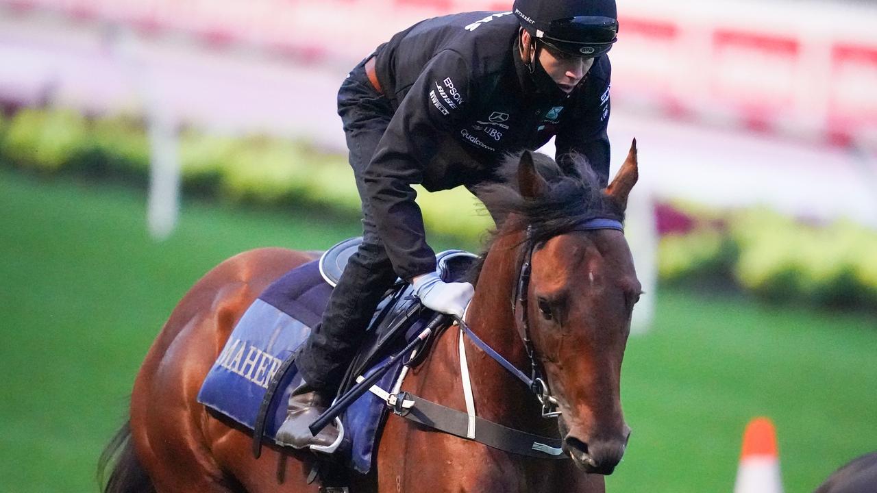 Moonee Valley trackwork