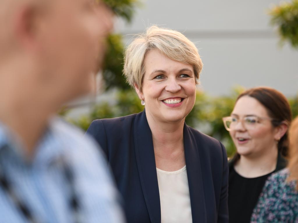 Environment Minister Tanya Plibersek. Picture: Naomi Jellicoe/NCA NewsWire