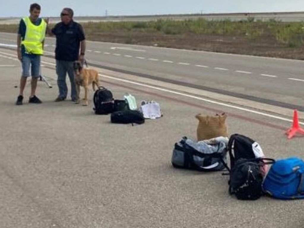 Sniffer dogs participated in the police investigation. Picture: Solarpix/Australscope