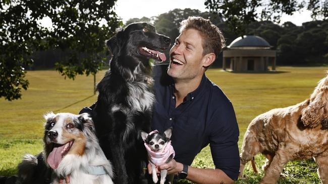 DAILY TELEGRAPH 1ST JULY 2024EMBARGOED FOR WEDNESDAY 3RD JULYPictured at Centennial Park in Sydney is celebrity veterinarian Dr Chris Brown with dogs Buddy, Buzzy, Tequila and Duey.There will shortly be a national pet census to gauge how many households have pets and what kind they have.Picture: Richard Dobson