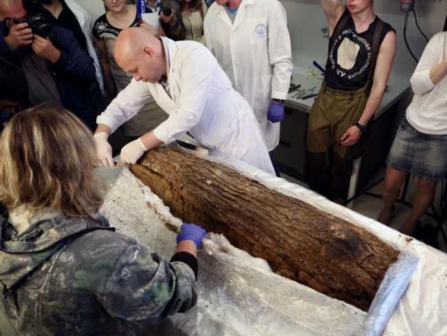 Lifting the lid ... The birch-bark coffin surrounding the tightly bundled mummy. Source: Siberian Times