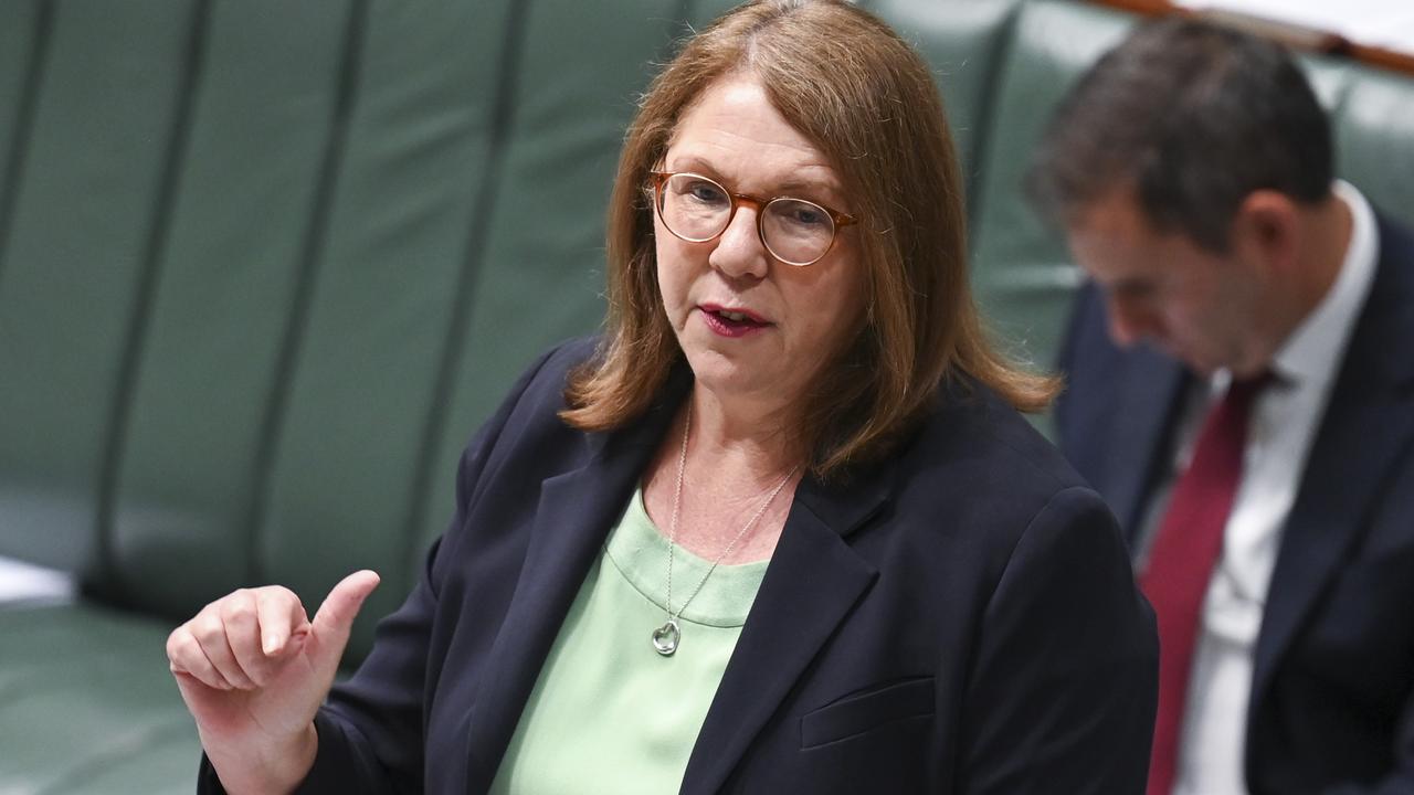 Infrastructure Minister Catherine King. Picture: NCA NewsWire / Martin Ollman