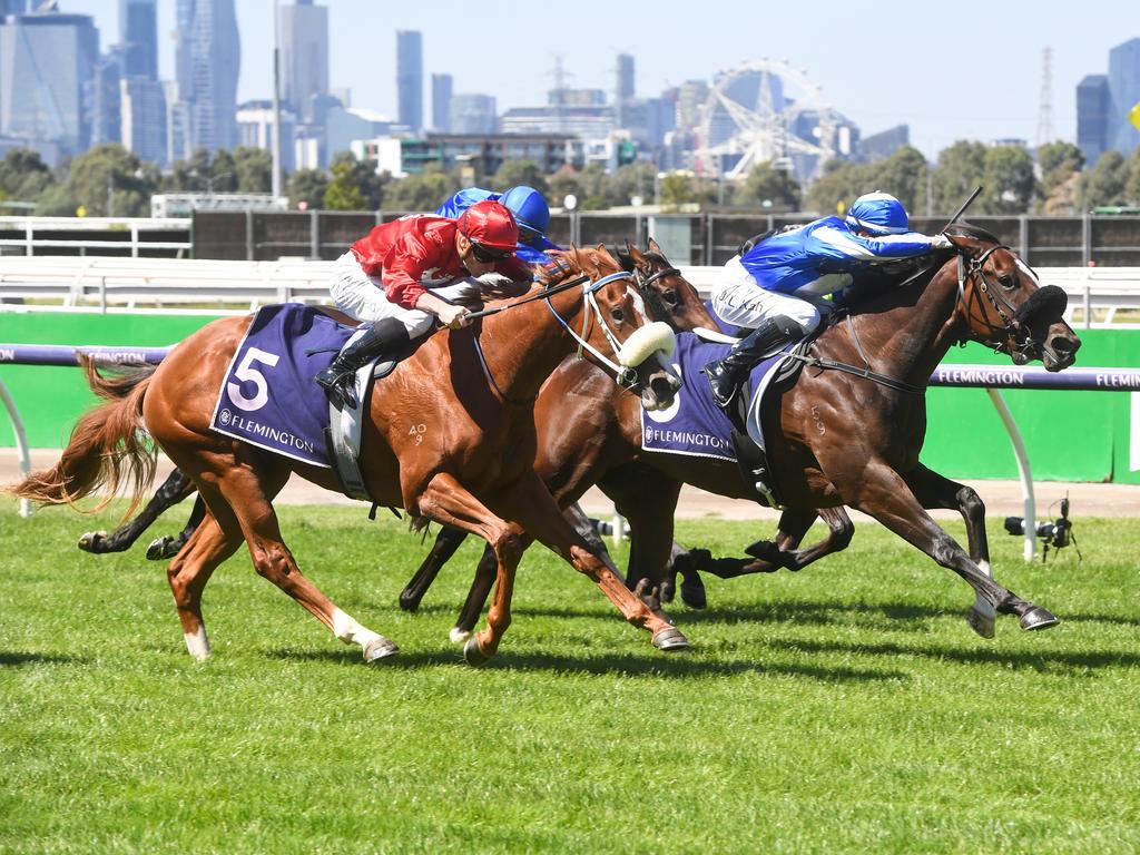 TBV Thoroughbred Breeders Stakes