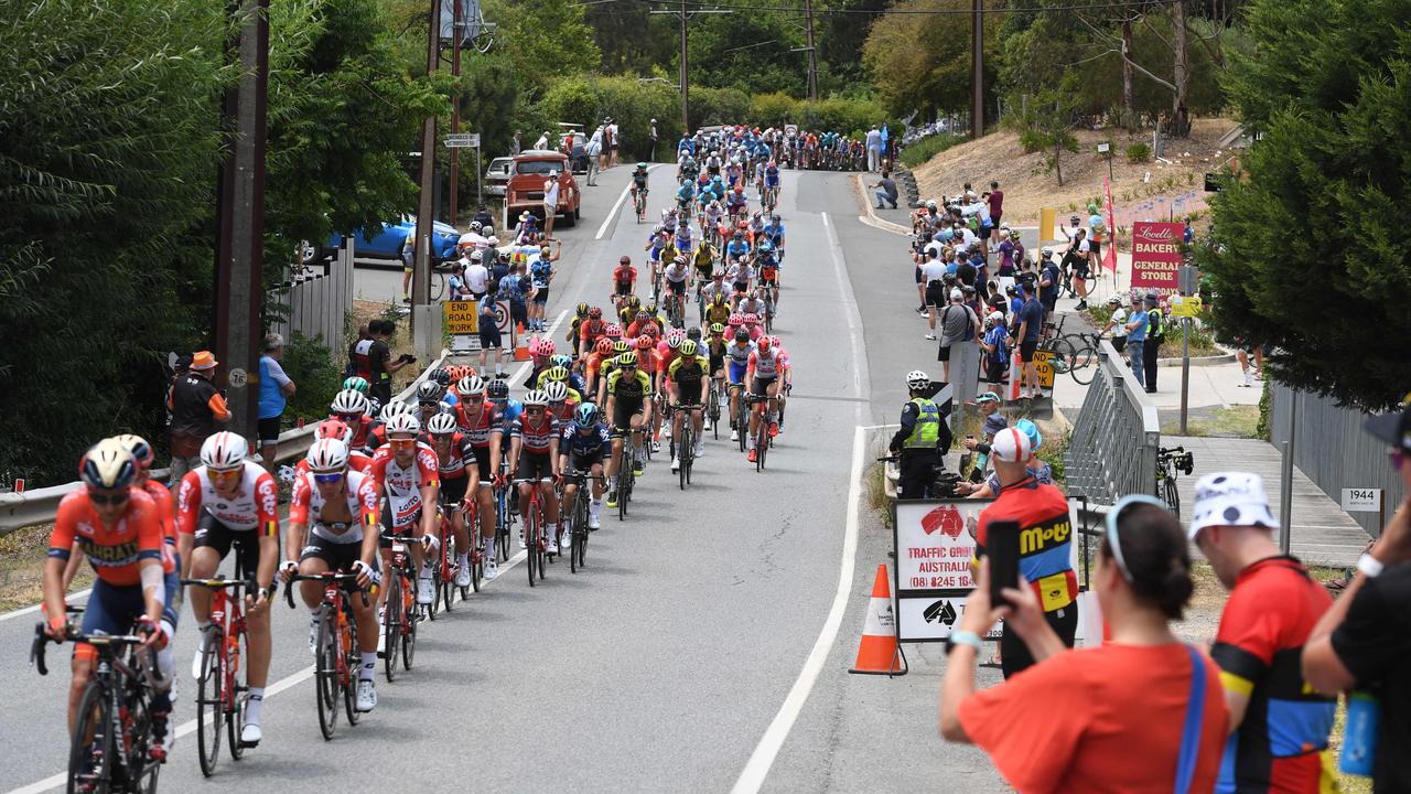 The peloton passes through Inglewood in 2019. Picture: Tricia Watkinson.