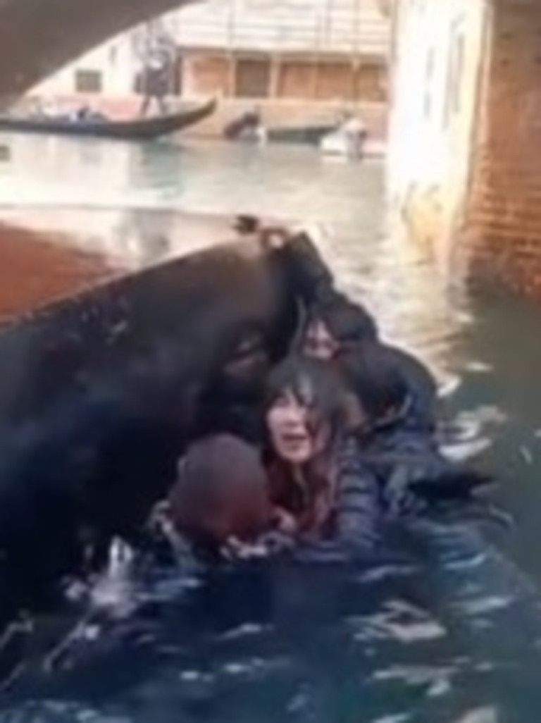 It comes after they were warned not to stand and take selfies. Picture: TikTok/ienaridens69