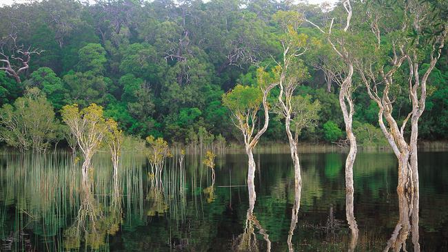 Great Sandy National Park Poona Lake