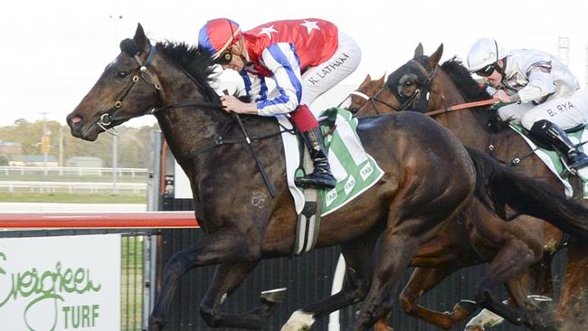 Promising three-year-old Agita looks a good each-way chance in the DulcifyStakes. Picture: Bradley Photos