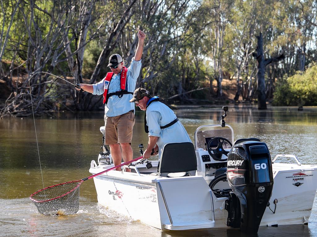 Murray cod fishing in rivers is all about lure casting to snags, and ...