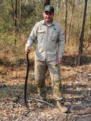 Vineyard snake catcher warns residents not to provoke snakes | Daily ...