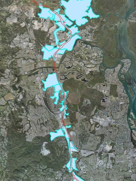 The habitat areas, shown in blue, for koalas in the corridor for the Coomera Connector.