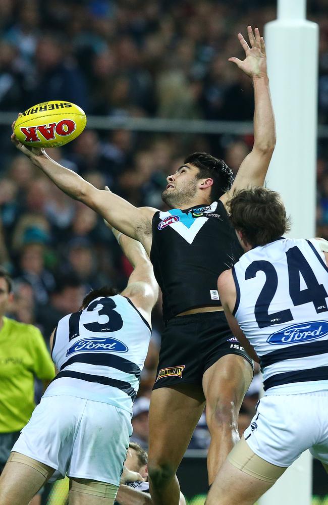 Wingard’s amazing mark against the Cats. Photo: Sarah Reed.