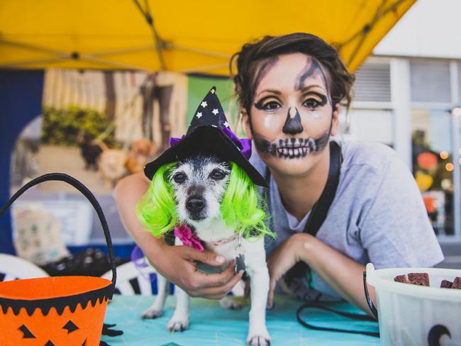 Port Melbourne’s HOWL-O-Ween Paw Parade is here again!