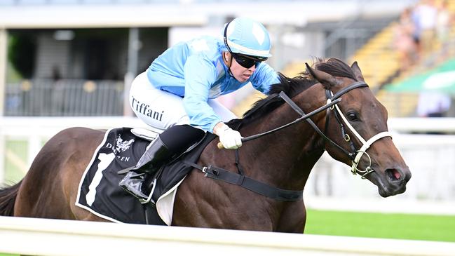 Jemeldi heads to Randwick for the Skyline Stakes after winning his first two starts in Queensland. Picture: Trackside Photography