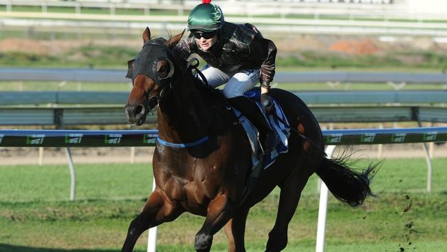 My Quilter (Sarah Eilbeck) winning at Doomben. Picture: Grant Peters, Trackside Photography