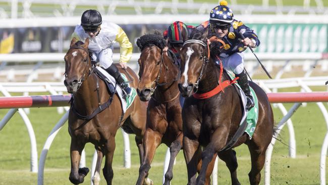 Casino Kid can handle the step up in distance at Randwick on Saturday. Picture: Getty Images