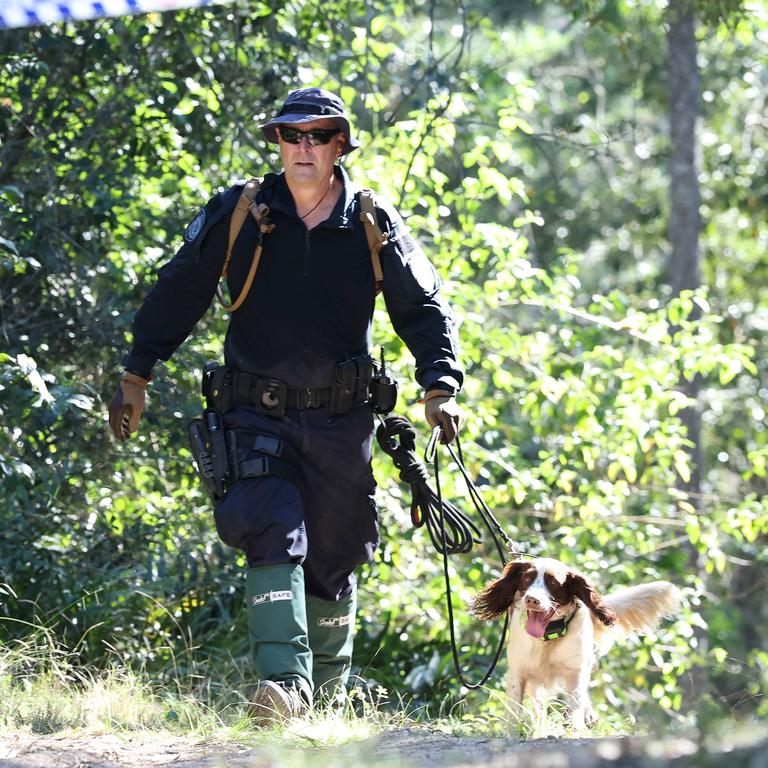 Police with a cadaver dog search the Good Night Scrub National Park. Picture: Adam Head