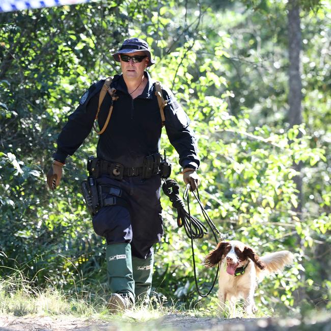 Police with a cadaver dog search the Good Night Scrub National Park. Picture: Adam Head