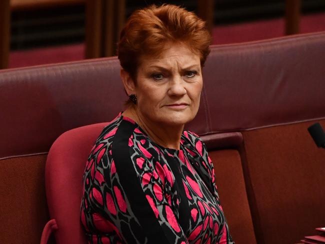 Pauline Hanson’s One Nation has kept its hold on 10 per cent of voters. Picture: AAP Image/Mick Tsikas