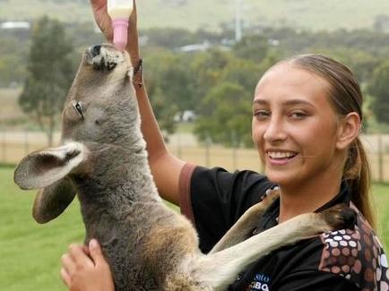 Mia Speed has written a story about a kangaroo using her Wirangu language. Picture: ABC Eyre Peninsula: Jodie Hamilton