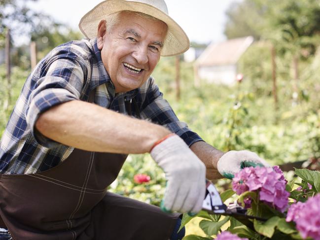 Ms Morris said older people tend to favour part-time positions as they reach retirement age.