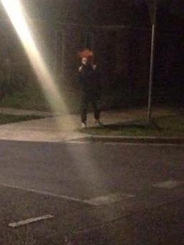 Images from pranksters behind Melbourne's 'clown purge' craze. Picture: Facebook