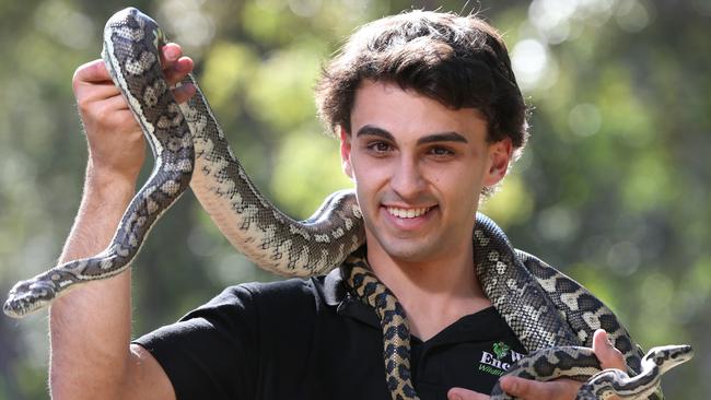 Wild Encounters Snake Catcher Sam Howard Saves Day In Nerang With 