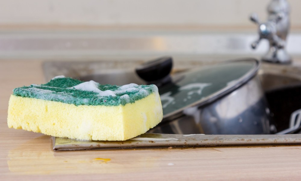 Your Kitchen Sponge Is Filthy — And Microwaving It Won't Help