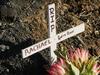 Tributes left for Lockleys woman killed in horrific smash