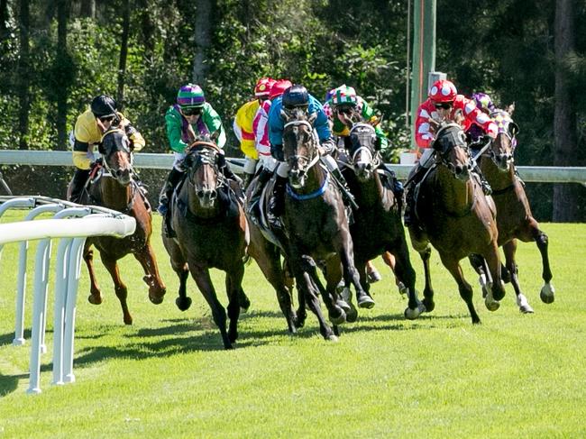 The Entertainment Grounds at Gosford will host its own Melbourne Cup Day celebrations this year.